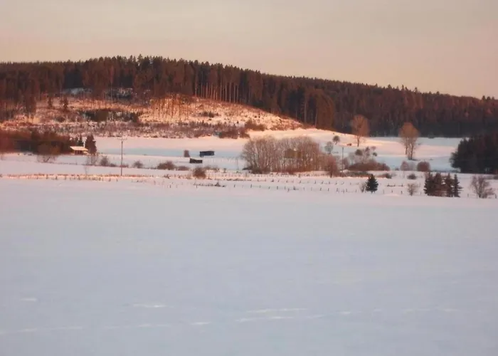 Apartman Mit Garten In Eimelrod Willingen