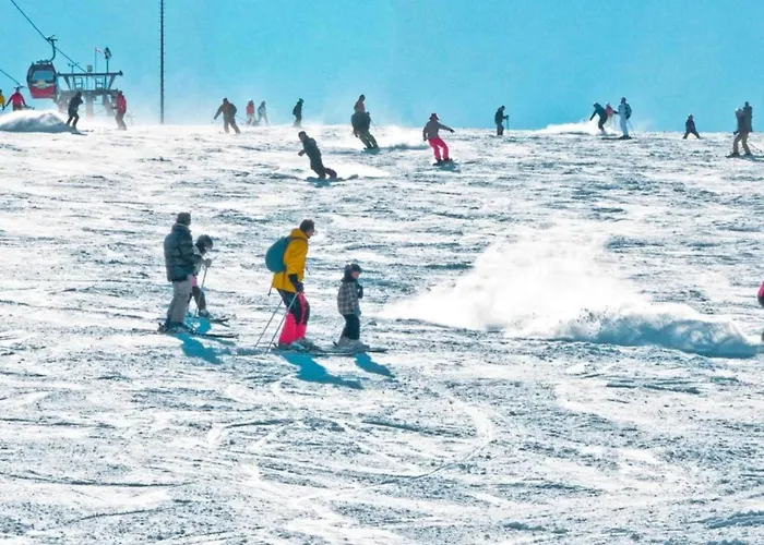 Apartman Mit Garten In Eimelrod *